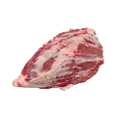 PRESA IBERICA