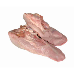 LENGUA DOTE