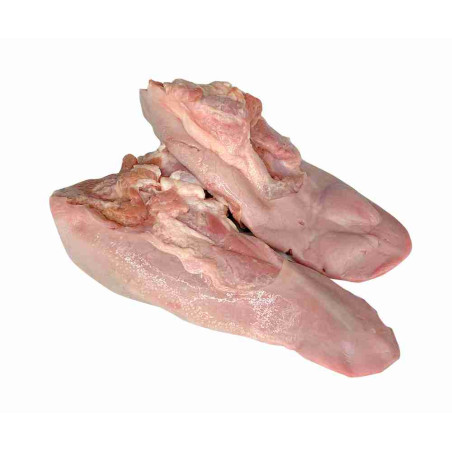 LENGUA DOTE