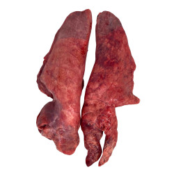 PULMONES