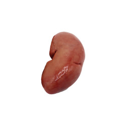 Ronyó de porc
