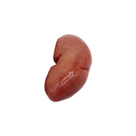Riñón de cerdo