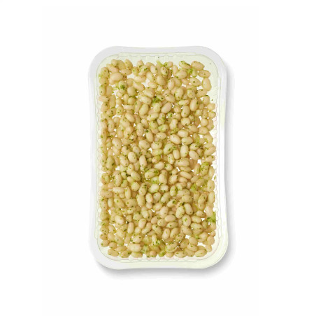 Judías en salsa verde