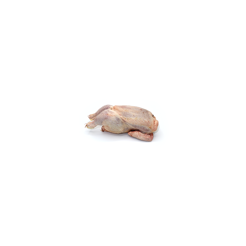 PICANTON