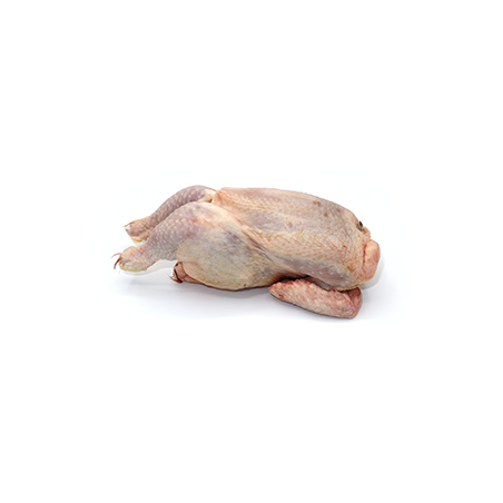 PICANTON