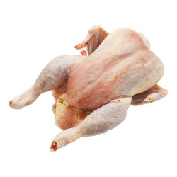 GALLINA PESADA