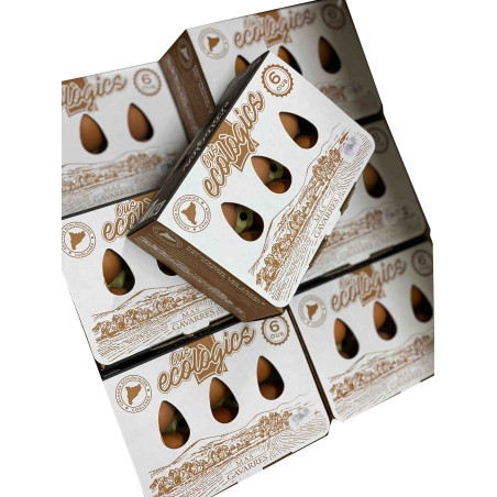 HUEVOS ECOLOGICOS (6 docenas)