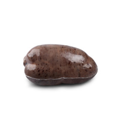 BISBE NEGRO (BULL NEGRO)