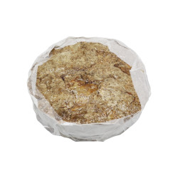 CHICHARRONES