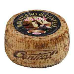 F. PECORINO DE MOLITERNO (Trufa)