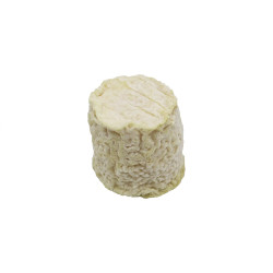 CHABIBHOU FULLES CASTANYER
