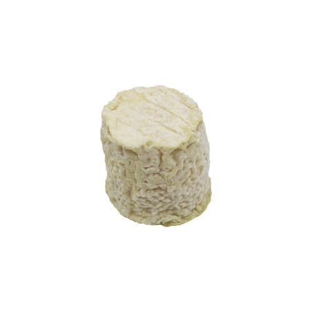 CHABIBHOU FULLES CASTANYER