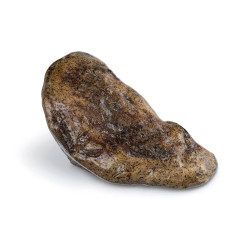 GUANCIALE CURADO