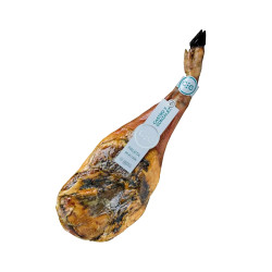 Paleta Selección Castro y González B2B