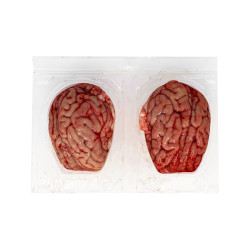 Cervells frescos de porc
