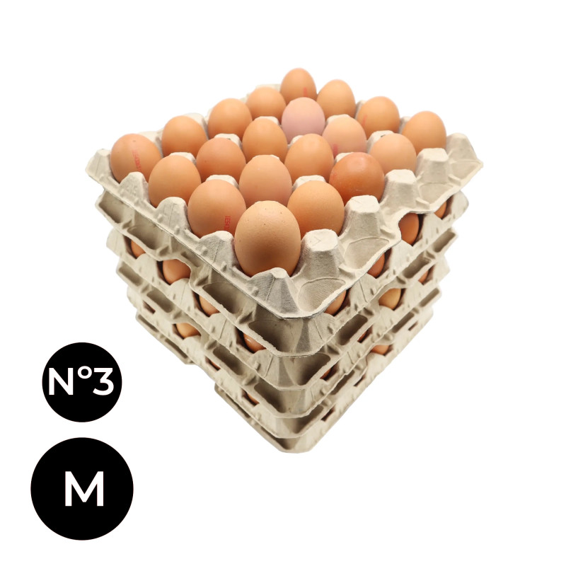 CAJA HUEVOS A GRANEL (M)