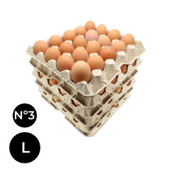 CAJA HUEVOS A GRANEL (L)