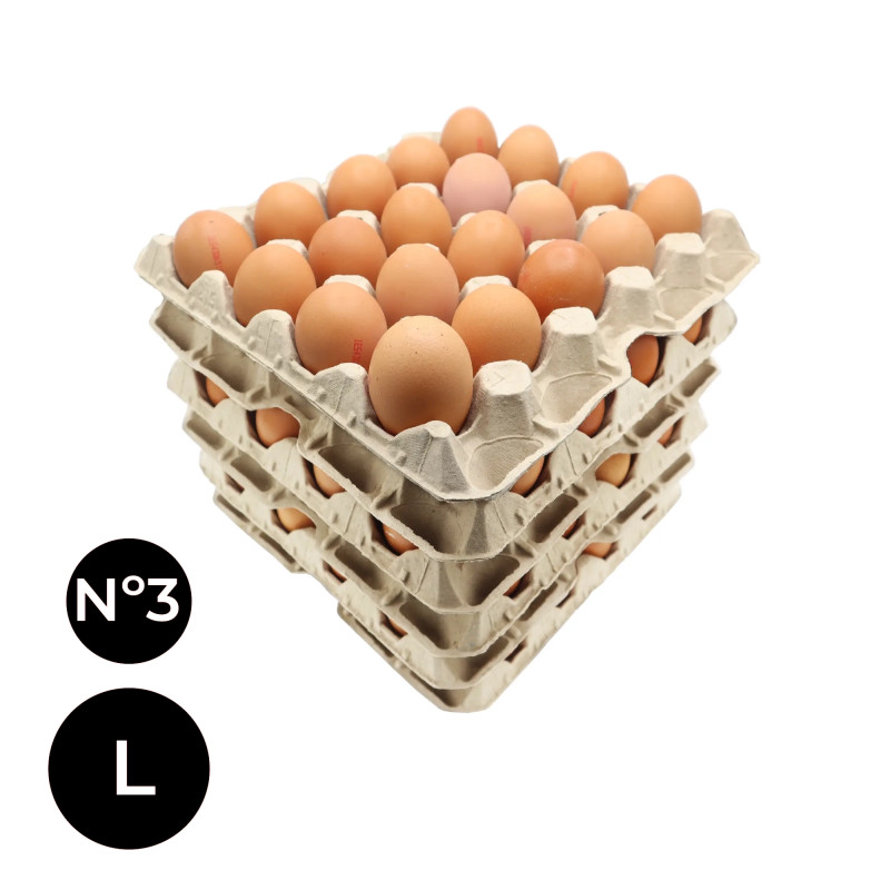 CAJA HUEVOS A GRANEL (L)