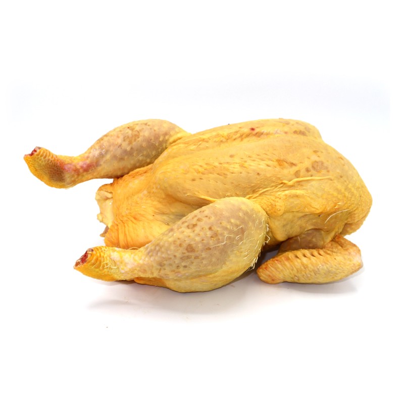 Pollo Amarillo Catalán | Proveedor de Carne en Barcelona Pollo Amarillo Catalán | Proveedor de Carne en Barcelona