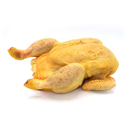 Pollo Amarillo Catalán | Proveedor de Carne en Barcelona