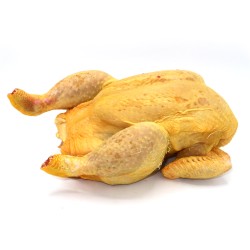 Pollastre Groc Català 2,5Kg | Proveïdor de Carn a Barcelona