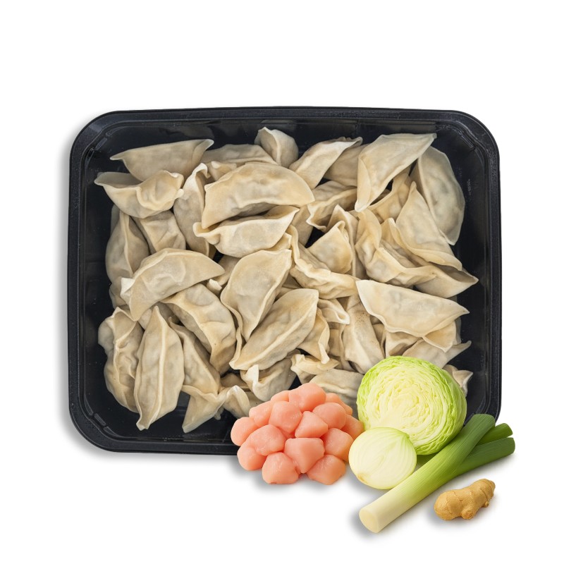 GYOZA DE POLLO Y VERDURAS (60uds) GYOZA DE POLLO Y VERDURAS (60uds)