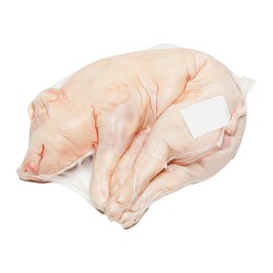 Cochinillo Entero Mayorista | Precio único