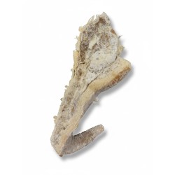 Rabos de cerdo salados horeca | Producto tradicional