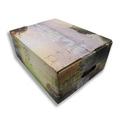 Pluma ibérica congelada | Carne Ibérica certificada