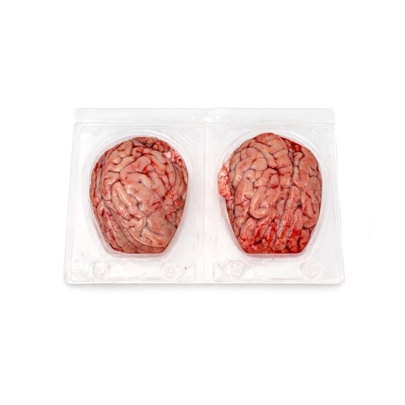 Cervells de Porc | Distribuïdor a Barcelona