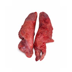 Pulmones frescos de cerdo | Venta al por mayor