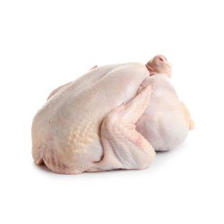 GALL D'INDI de 4,5 a 6 Kg