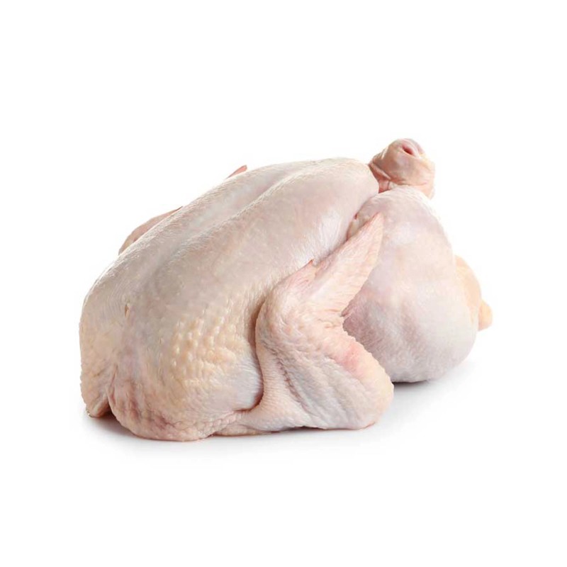 GALL D'INDI de 4,5 a 6 Kg