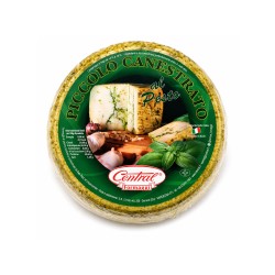 Q. CANESTRATO AL PESTO